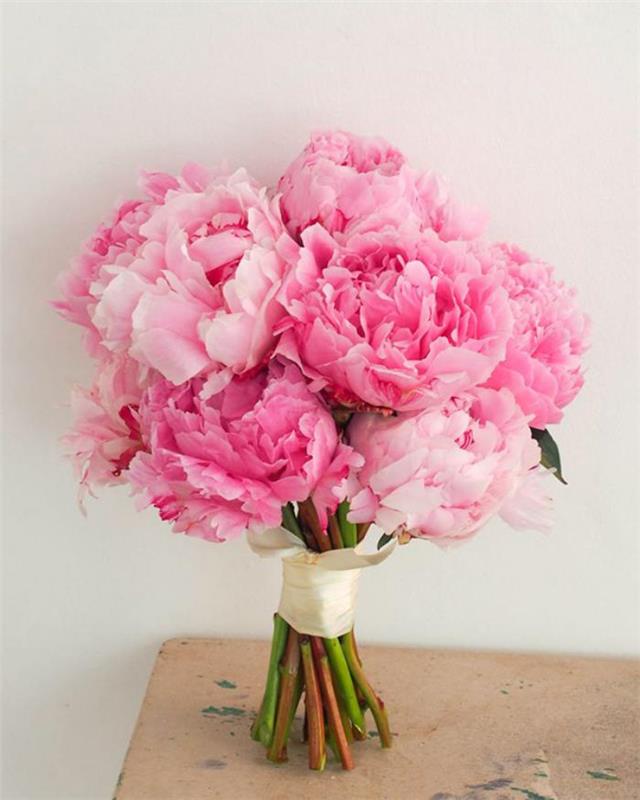 pembe-açık-peonies buketi