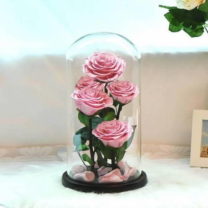 šopek vrtnic pod zvoncem z rožnatimi cvetnimi listi, ideja za darilo večne vrtnice pod zvonom