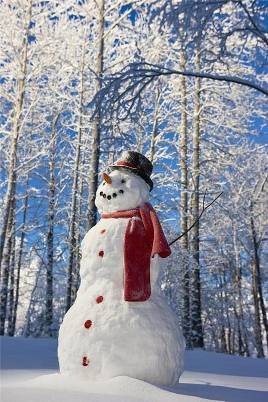 „Pasidaryk pats“ sniego senis-sniego senio galva-gražiai dekoruotas
