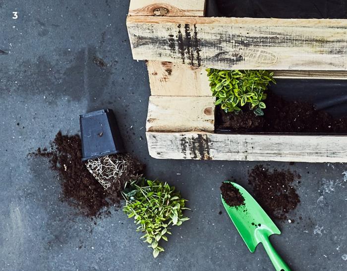 padarykite padėklų augalų sieną, idėja, kaip auginti gėles padėklų sodinimo mašinoje, pasidaryk pats medinių padėklų sodinimo modelis