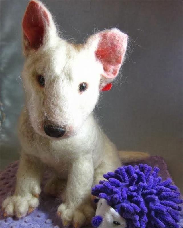 amatai su vilna, tikroviškas šuo, balta spalva ir mažas ežiukas