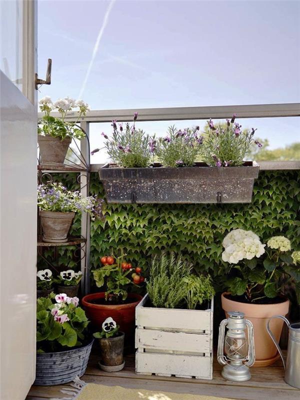 vetrič za zunanjo dekoracijo balkona za stanovanje mali balkon urbana terasa zelena stena plezalne rastline