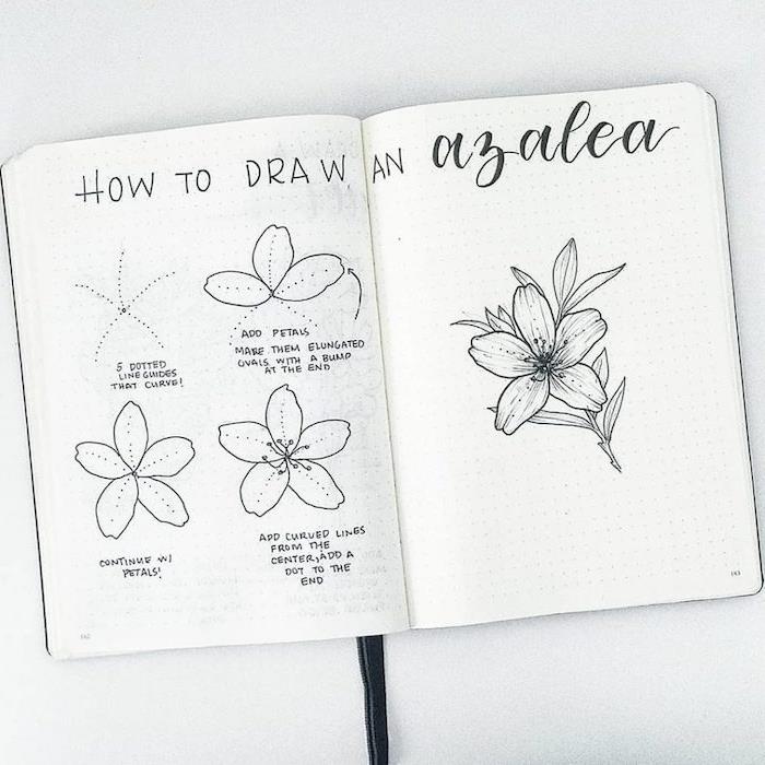 Knjiga skic za barvanje cvetov Azalea poenostavljena risba, navdihnite se za najlepšo risbo