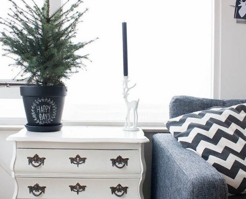 Albero di Natale vivente - decorazione d'interni