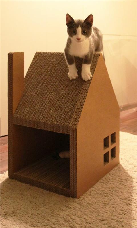 kačių namelis su stogu ir kaminu bei mielas kačiukas ant stogo