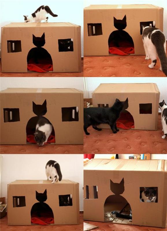 kartoninis kačių namelis, paprastas dizainas, katės formos durys