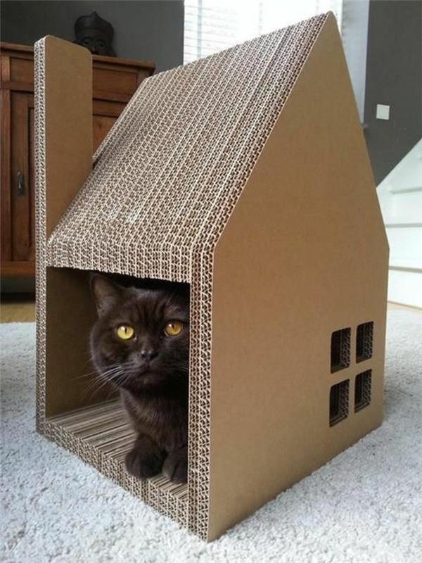 kačių namelis, paprastas ir stilingas kačių namų dizainas