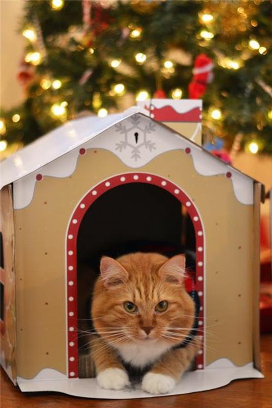 kačių namelis po papuošta Kalėdų eglute, didelė raudona katė prie durų