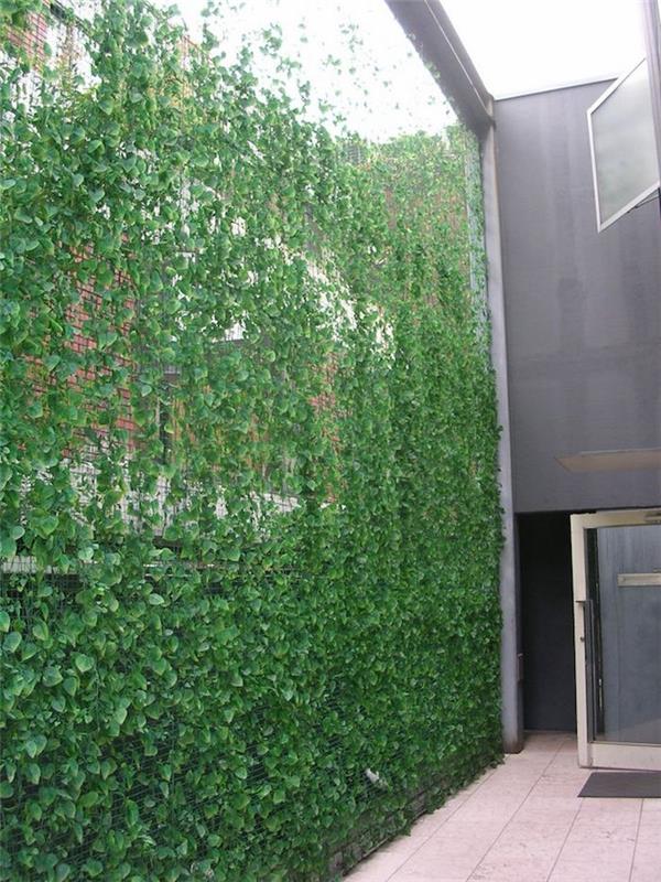 izviren model listja z vetričem, ki pada na žično mrežo kot zelena stena