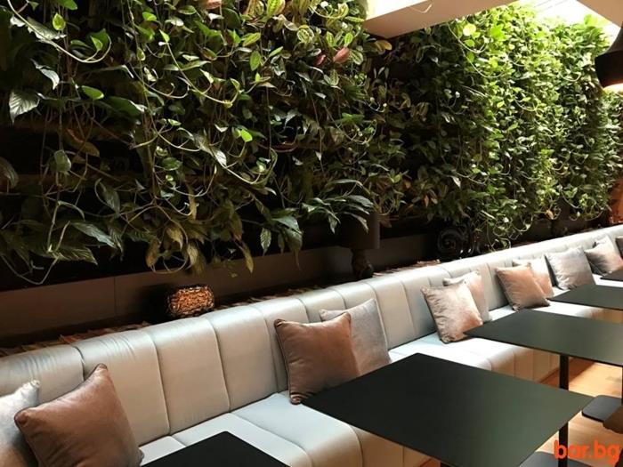 vidinė žalia siena, gyvi augalai, auginami vertikaliai, kavinė su juodais stalais ir taupe sofa