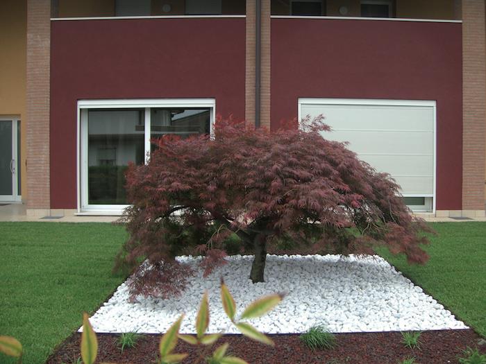 ideja vrtne dekoracije, gredica iz belih in rjavih kamenčkov, majhno rdeče drevo na zelenem vrtu
