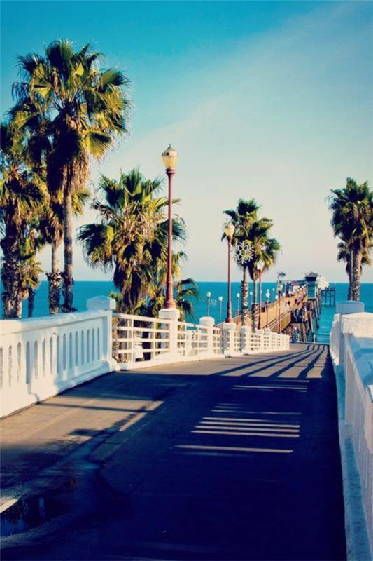 kalifornija-plaža-sonce-morje-most