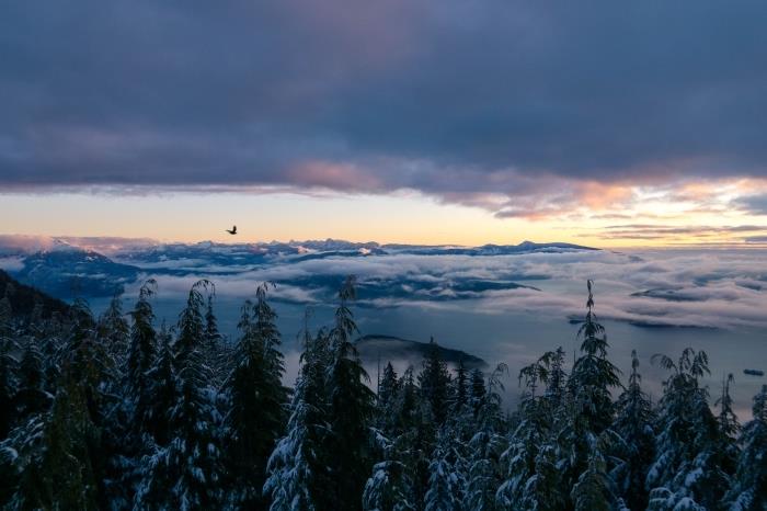 kışın gün batımının güzel fotoğrafı, karla kaplı tepelerin üzerinde bir kuşun görüntü uçuşu ve bulutlu bir gökyüzü