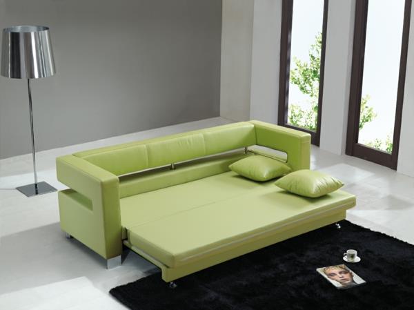 dizainas-sofa-lova-žalia-ir-juodas kilimas