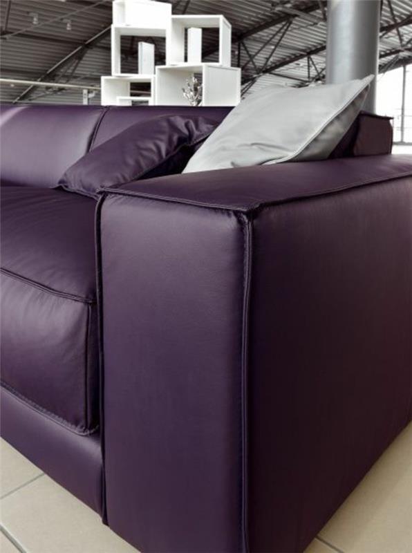 vijolično-usnjeno-kavč-barvo-vijolično-slivovo-za-dnevno-sobo-idejo-deco-barvo