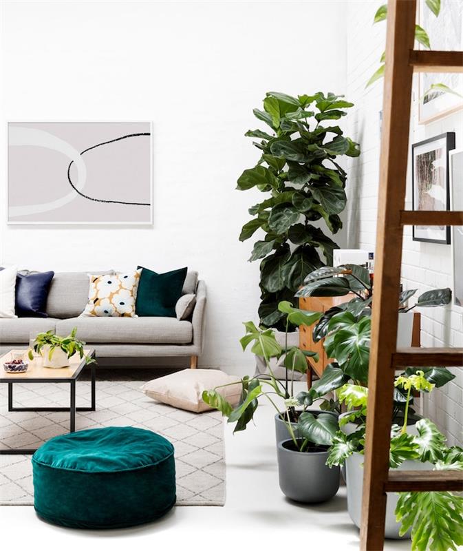 več zelenih sobnih rastlin v lončkih, siva preproga, tuekizno zelen puf, siv kavč in blazine različnih barv, bele stene, kakšna stanovanjska rastlina