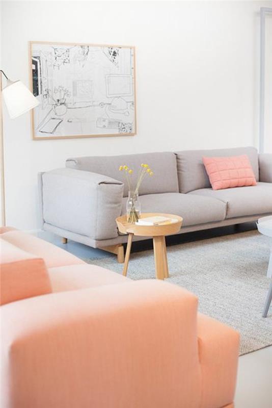 šviesiai rožinė-sofa-pilka-sofa-pilka-kilimas-prašmatnus-svetainė-smėlio spalvos-siena-gyvenamajame kambaryje