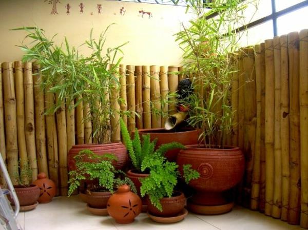 canisse-bambuko terasa-vaizdas-pertraukiklis