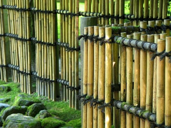 bambuko canisse-up-close