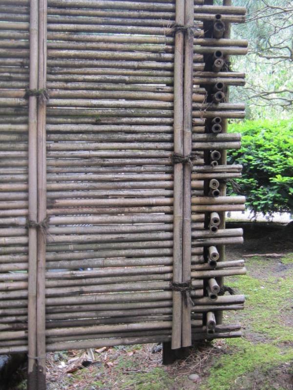 canisse-bambuko ekranas-originalus