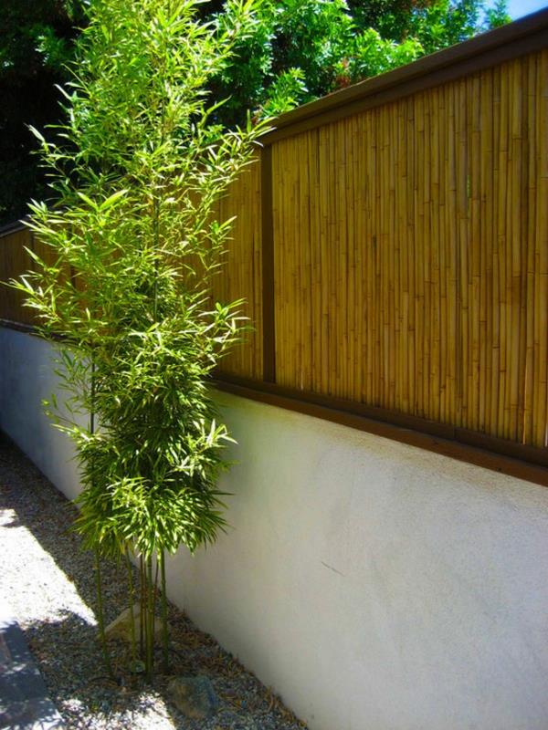 bambuko canisse-a-private-kampas-su-bambuko tvora
