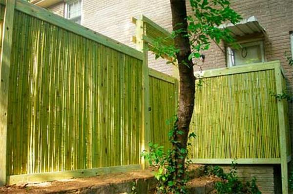 bambukas-canisse-a-view-screen-in-bamboo-green