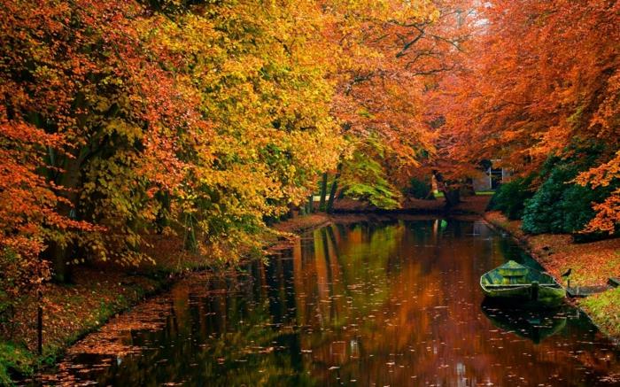 cannal-trees-beauty-in-autumn-landscape-water-leaves-orange-yellow