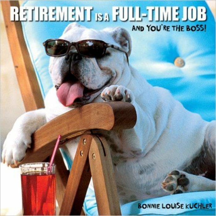 išėjęs į pensiją, šuo su saulės akiniais ant jo poilsio kėdės su turkio mėlynos spalvos pagalvėlėmis ir raudonos spalvos kokteiliu
