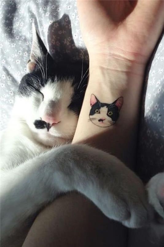 juodos ir baltos katės riešo tatuiruotė, katė, laikanti žmogaus ranką, mažos tatuiruotės moterims, miega katė
