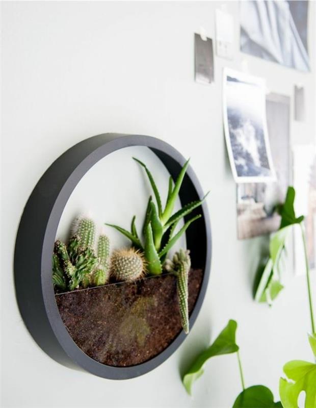 Vaso da parete, vaso con piante grasse, modern decorazioni pareti