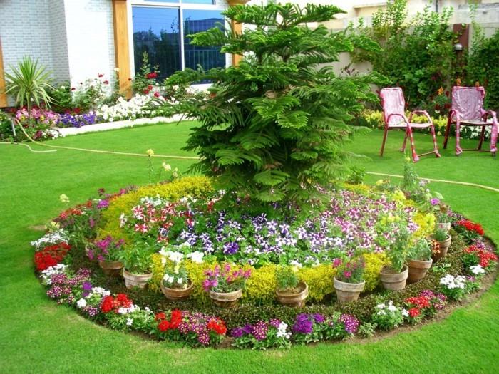 žiedų žiedas petunijos ir kitos mažos įvairiaspalvės gėlės, žalias medis centre, gėlių kompozicija vejos viduryje, gėlynas