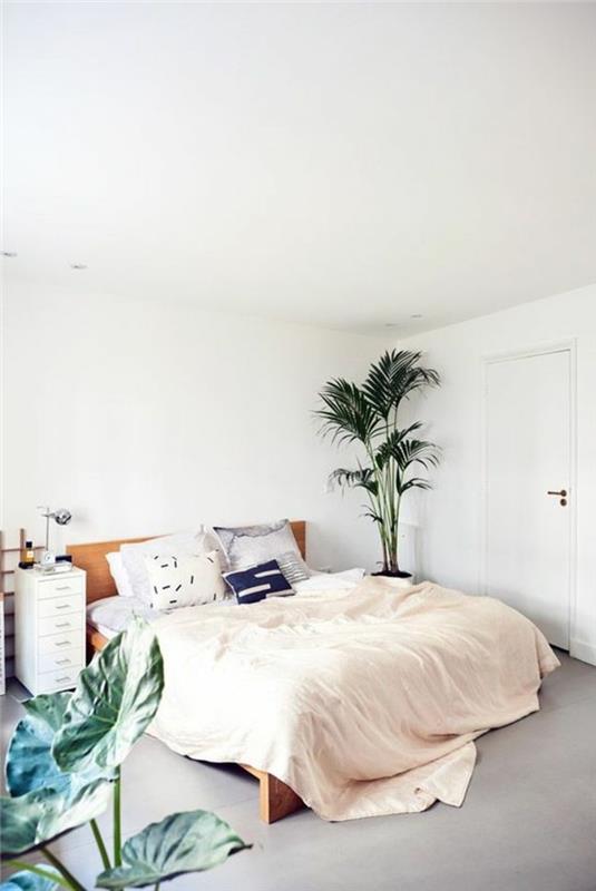 popolna-spalnica za odrasle-eksotično oblikovanje-palmes-d-notranjost-odeja-posteljo-šampanjec