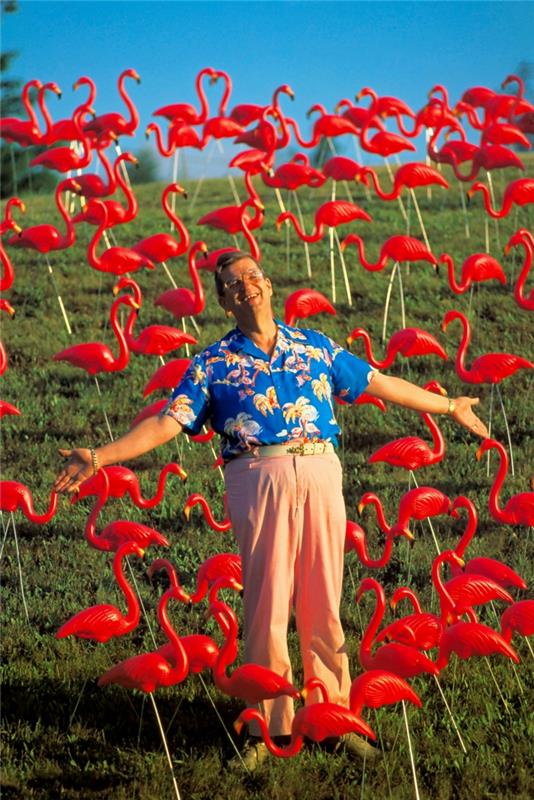zeleno polje z množico rdečih flamingov, človek s havajsko srajco, ki je razširil roke in se smejal, eksotičen dekor, tropski dekor