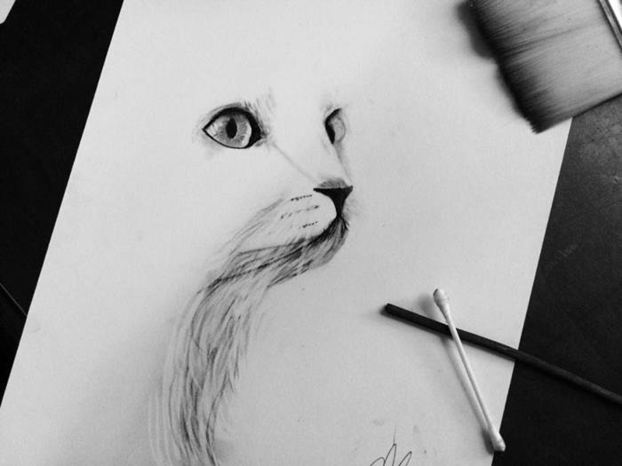 Beyaz bir kedinin basit çizimi, karakalemle çizmeye çalışın, denenecek teknikler nelerdir, kulak çubuğu hilesi