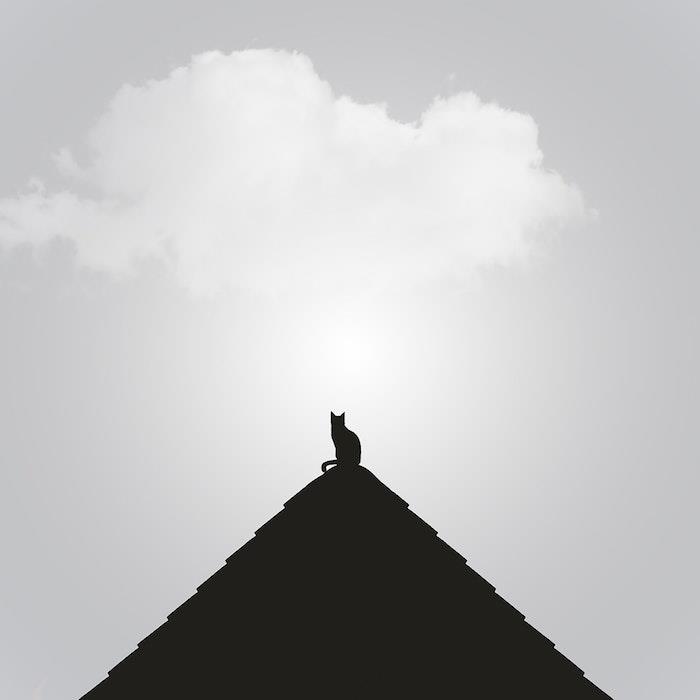 Piramid in mačka na zgornji grafični risbi, kul ideja moderno ozadje swag