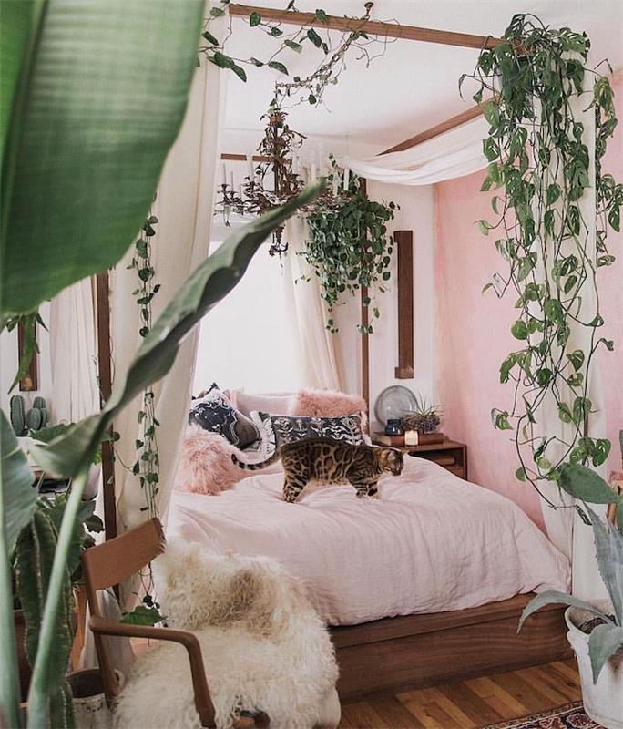 Gül duvarları, yatakta büyük kedi, sarmaşık tırmanma bitkileri, dekontaminasyon odası, iç mekan bitki dekorasyonu ilhamı
