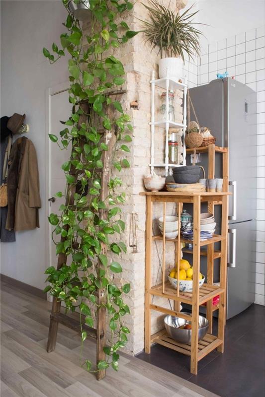 okrasne lestve leseni stolpec opeka sobna rastlina visi odprto skladišče les