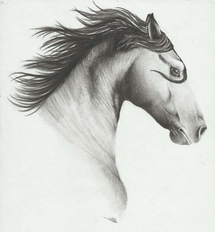 Yeni başlayanlar için at çizimi, kolay siyah beyaz çizim, adım adım teknik, tüm detayları ile bir at çizmeyi seçin