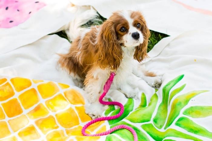 idėja, kaip padaryti naminių gyvūnėlių aksesuarą, rožinio ombre dizaino virvės šunų pavadėlio šabloną