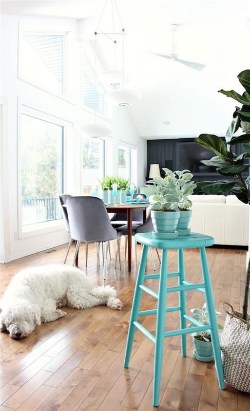 Žavingas baltas šuo, aukšta kėdė su akvamarinu, modernūs seni baldai, pritaikykite spalvingus dažų baldus, virtuvę ir svetainę viename
