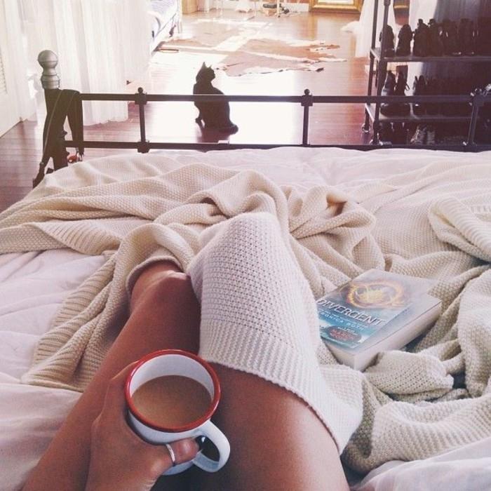 pelėda-caffe-macchiato-naujas-gėrimas-kavinė-au-lait-įkvėpimas