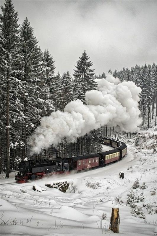 baykuş-kanada-manzara-kar-arka plan-duvar kağıdı-kış-tren-kış-manzara