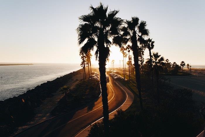 Kaliforniya yolu, Pasifik Okyanusu'na çok yakın 101 veya 1 numaralı otoyol, yaz manzarası duvar kağıdı, yaz palmiye ağaçlarında doğanın güzelliği