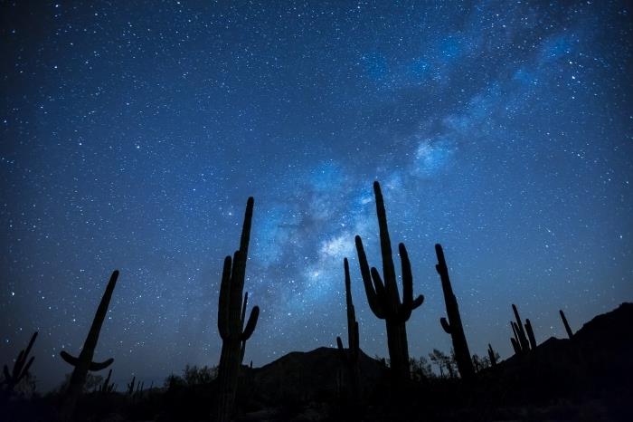 nemokamų darbalaukio tapetų idėja, didelių kaktusų fotografavimas dykumoje po žvaigždėtu mėlynu dangumi