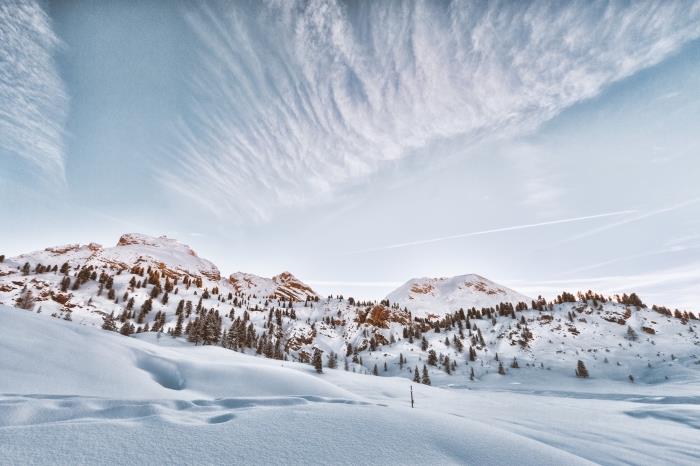 dağlarda bir kış manzarasının güzel fotoğrafı, iğne yapraklı ağaçlar ve bulutlu gökyüzü ile karlı manzara