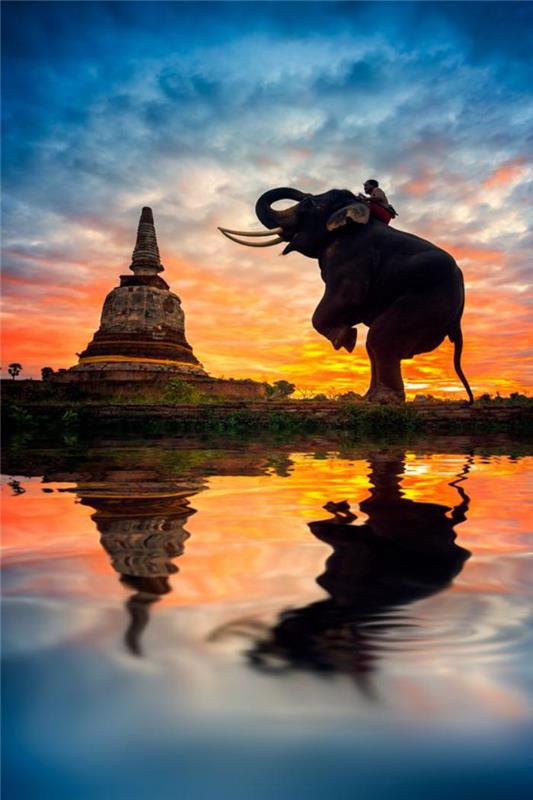 vezje na Tajskem-eksotična-veličastna-potovanja