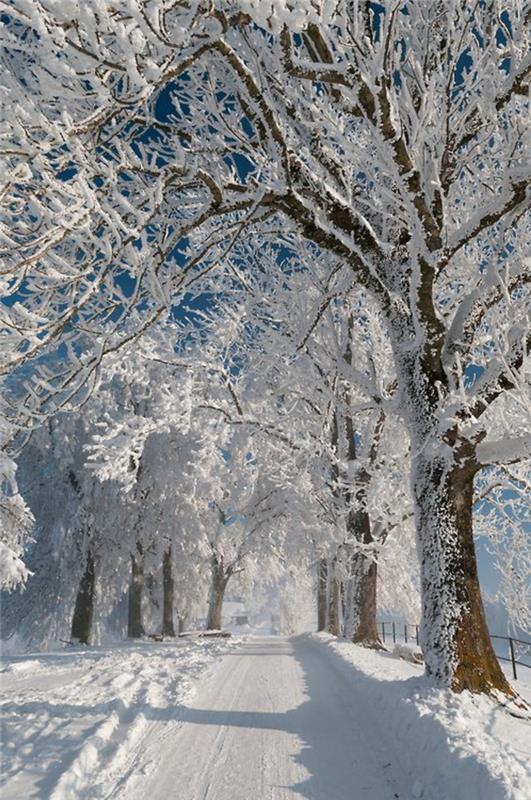 parlayan-duvar kağıdı-kış-noel-manzara-göz kamaştırıcı-güzellik