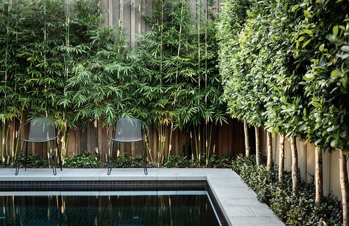ograja vetrič pogled zunanjost moderno urejanje krajine dvorišče bazen stol kovinska stena les plezanje rastline vegetacija