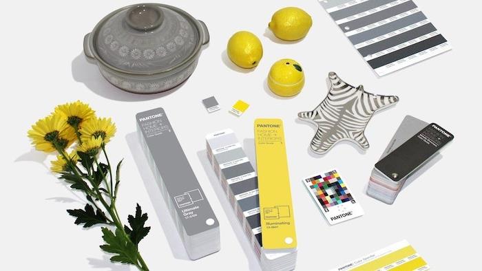 barvna koda pantone za leto 2021 in trendi v dekoraciji doma