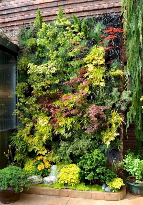 pomirjujoč kotiček zelenja na vrtu z zeleno steno, sestavljeno iz rastlin različnih barv in velikosti